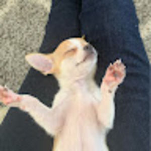 Meet your Posher, Bestiexlena